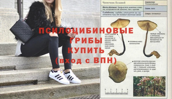 дмт Алексеевка