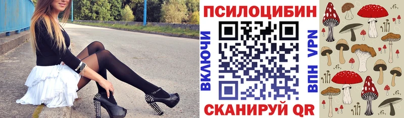 Псилоцибиновые грибы Psilocybine cubensis  где можно купить наркотик  Алушта 