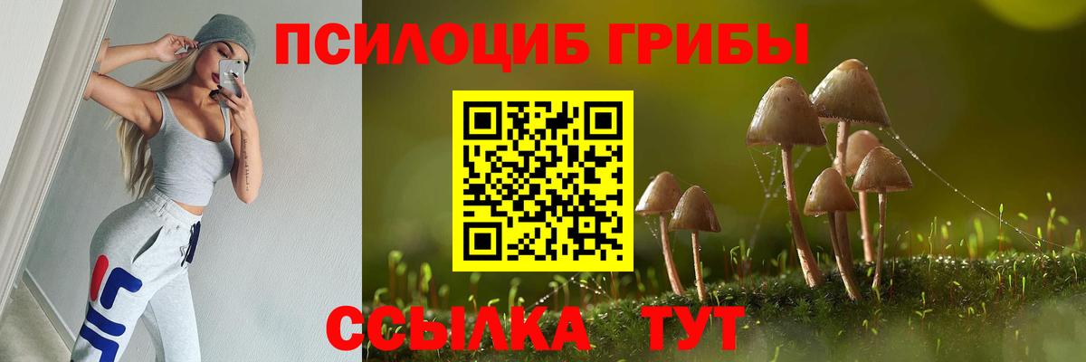 Алушта  Псилоцибиновые грибы Psilocybine cubensis  Вход с VPN  Псилоцибиновые грибы прущие грибы 